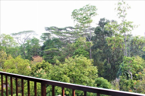 e-stay Hanthana Kandy image 7